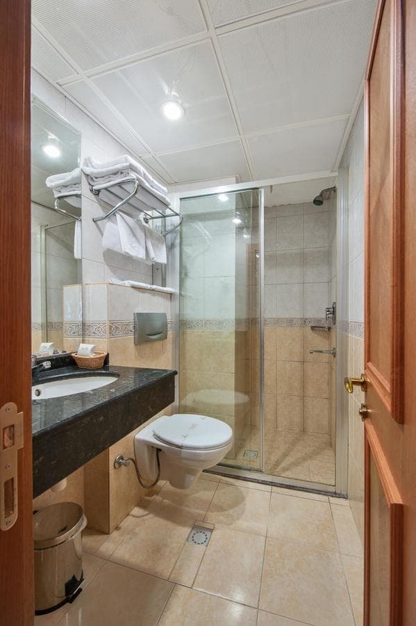 Dalan Hotel 3*, Стамбул — экскурсионный тур, 4 ночи — фото 14
