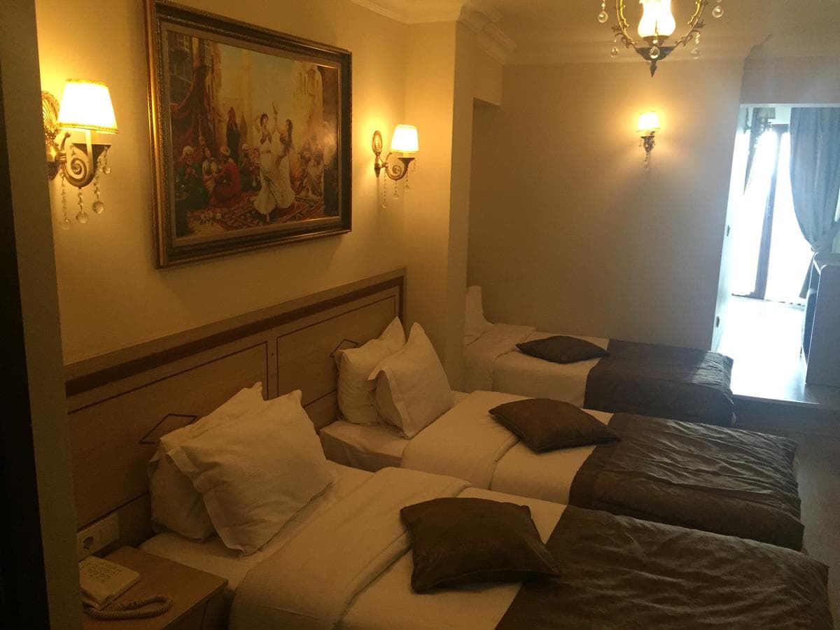 Sultan Palace Hotel 3*, Стамбул — экскурсионный тур, 4 ночи — фото 7